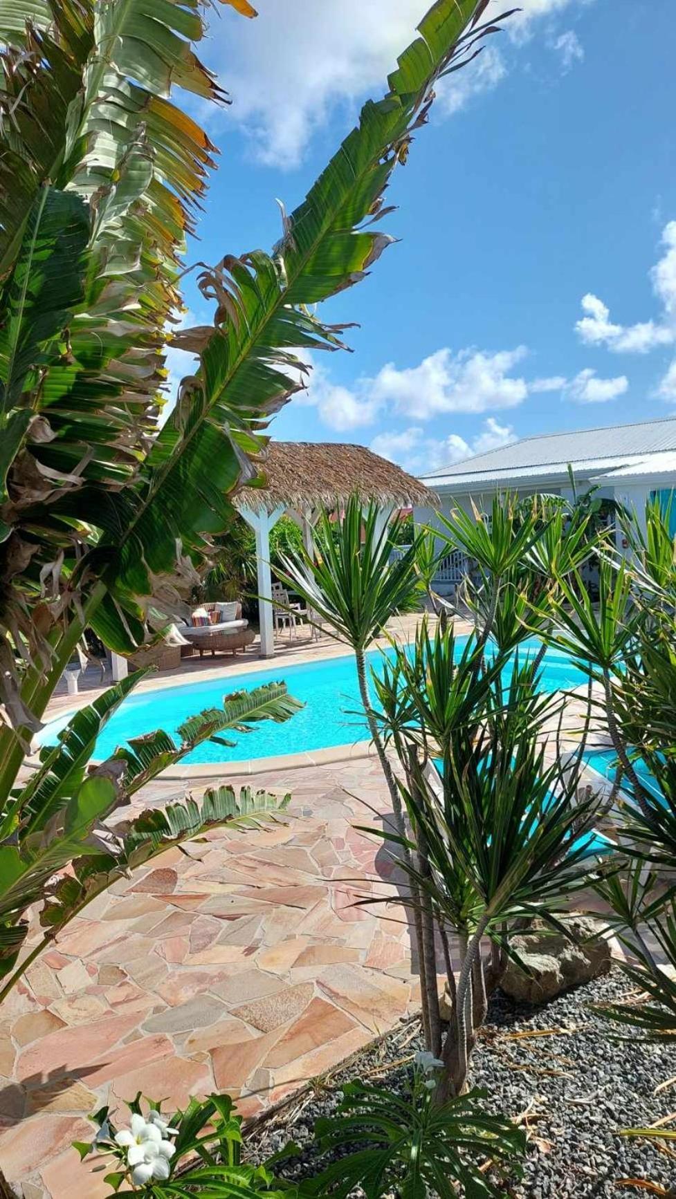 Tiko Lodge Sxm Quarter of Orleans ภายนอก รูปภาพ